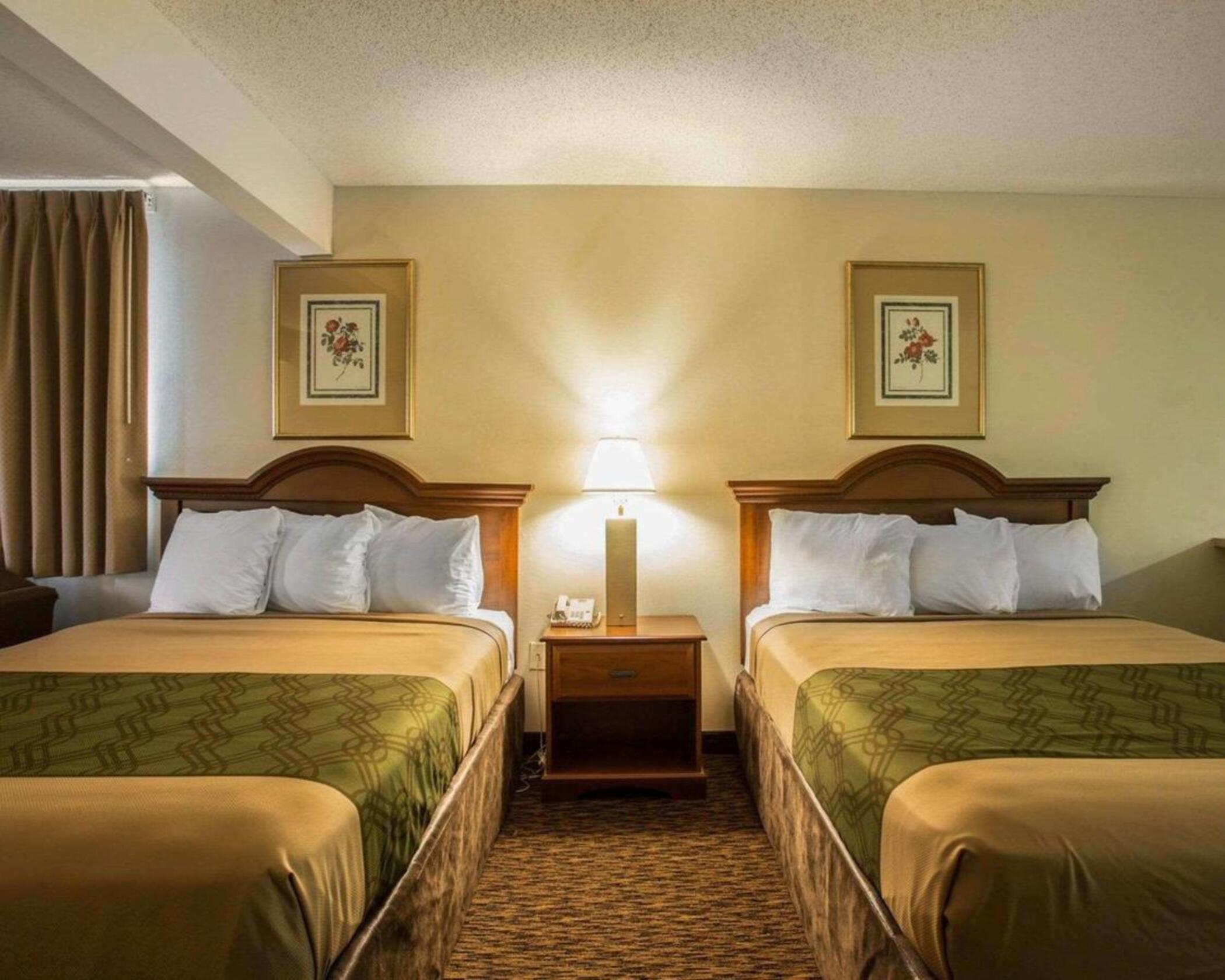 Econo Lodge Inn&Suites Lugoff Esterno foto
